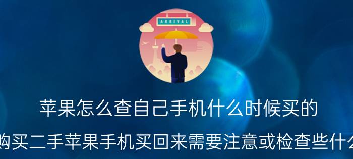 苹果怎么查自己手机什么时候买的 购买二手苹果手机买回来需要注意或检查些什么？